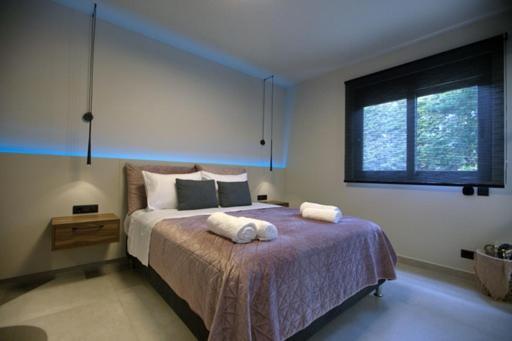 Vakantiehuis Animus Premium *