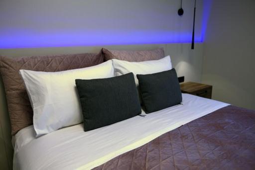 Vakantiehuis Animus Premium